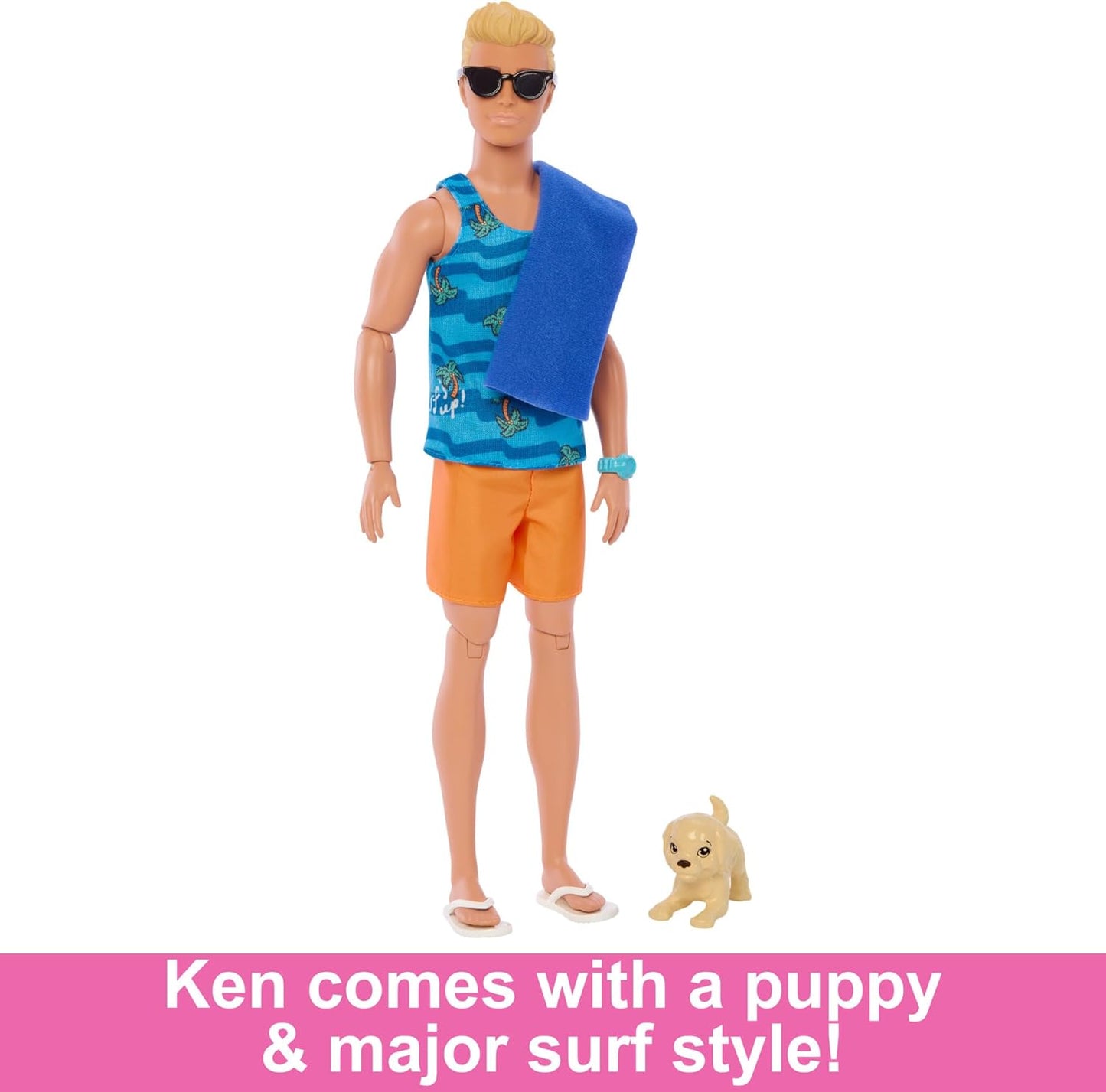 Barbie Ken Doll with Surfboard and Pet Puppy HPT50