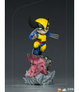Wolverine MiniCo - detail